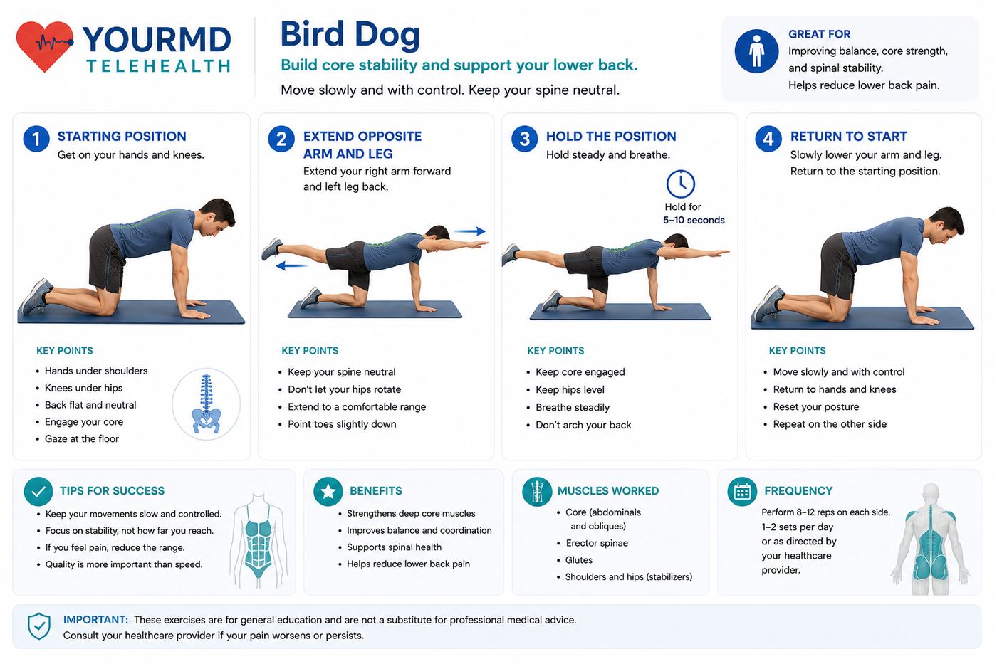 Bird Dog — YourMD Telehealth patient guide