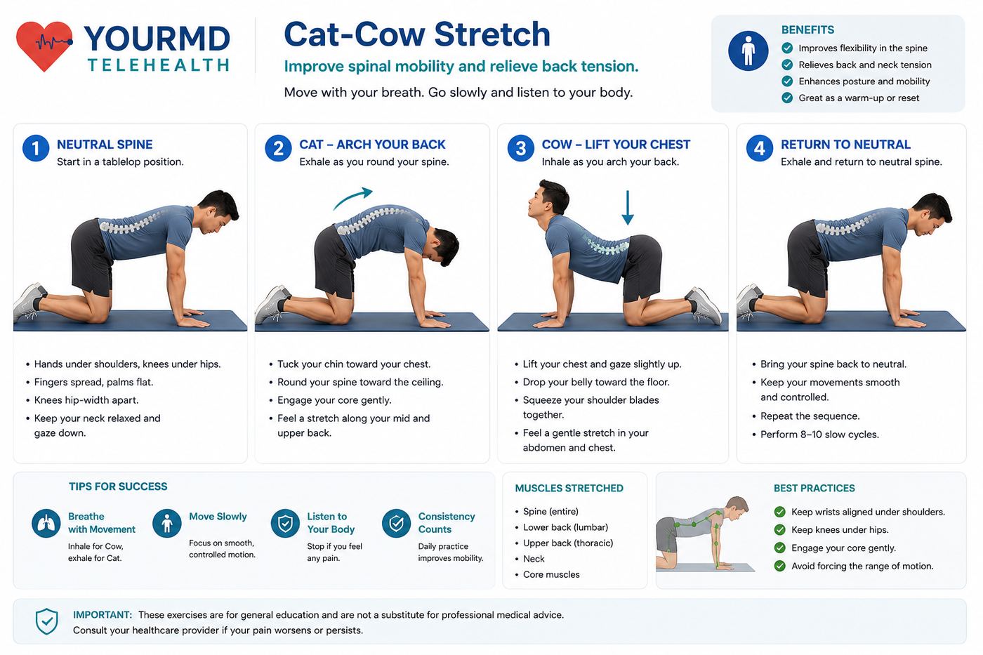 YourMD Telehealth infographic: Cat-Cow Stretch — neutral tabletop spine, Cat with rounded back on the exhale, Cow with lifted chest on the inhale, and return to neutral, with benefits, tips, muscles stretched, and best practices