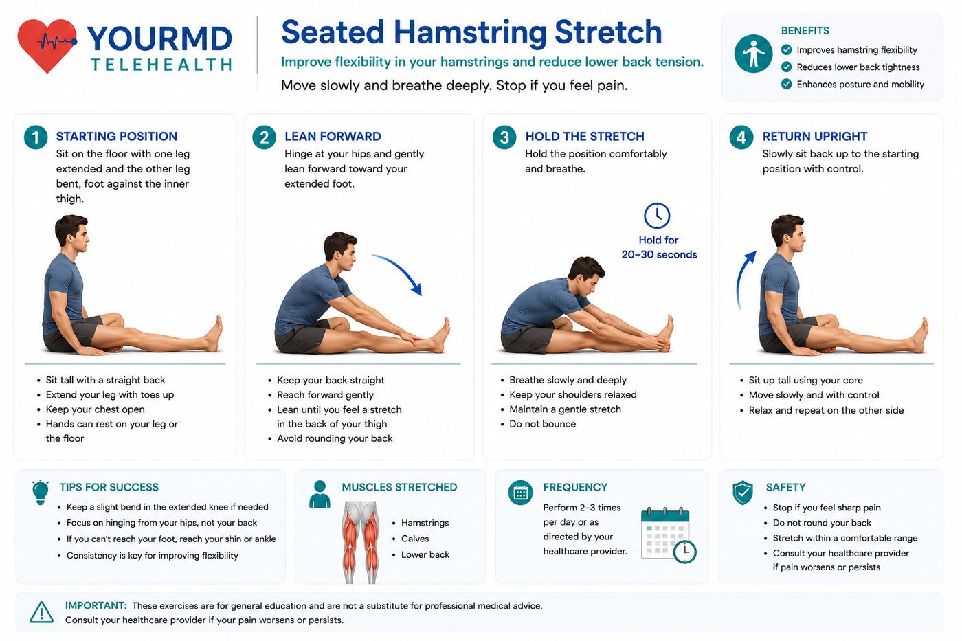 YourMD Telehealth infographic: Seated Hamstring Stretch — starting position, leaning forward from the hips, holding 20–30 seconds, and returning upright, with muscles stretched and safety tips